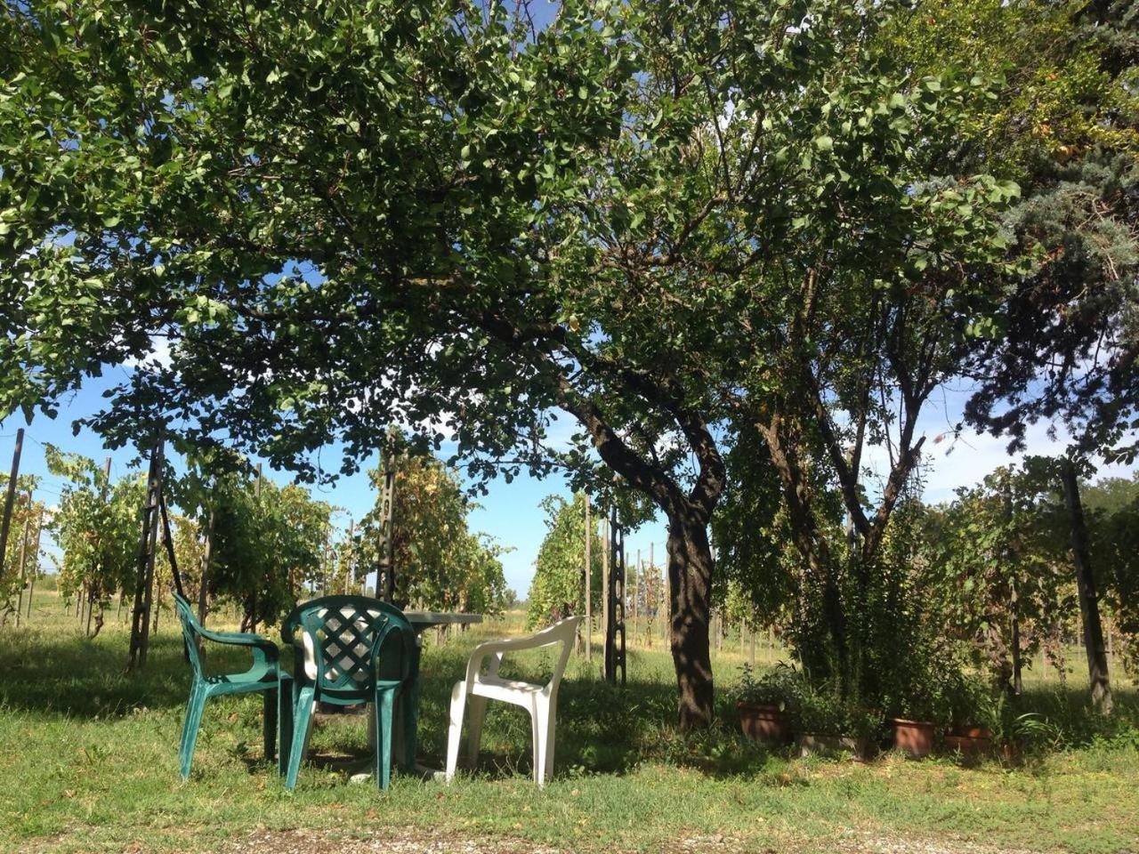 Il Canale Dei Mulini San Damiano Buitenkant foto